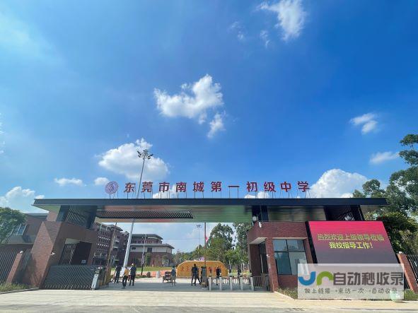 东莞南城专业网站建设服务，助力企业在互联网时代快速发展