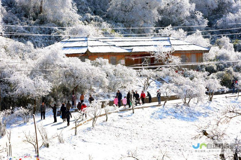 南川在线：探索南川，了解南川，成就南川未来