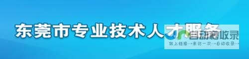 东莞公司专业网站建设：提升企业形象，拓展市场机遇